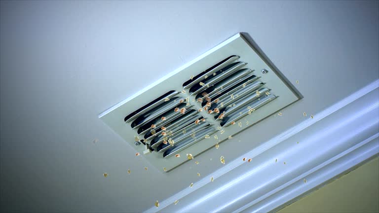Best Home Air Vent Cleaning  in Manor, PA