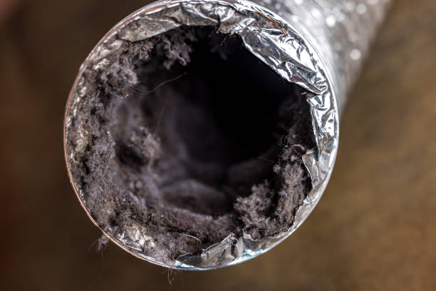 Best Affordable Duct Cleaning Services  in Manor, PA